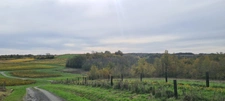 Propriété à vendre 8 pièces (17)