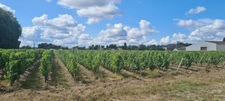 Wine estate in the heart of the prestigious Médoc Crus