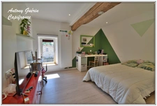 Grange rénovée de caractère avec dépendance 9 pièces-252 m² Habitable-MESNARD LA BAROTIERE