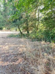 Terrain à bâtir libre de constructeur — À 3 km de la voie rapide 1 606,00 m² PLOERMEL (56)