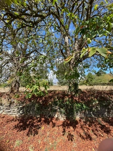 Terrain hors lotissement de 1 498 m² à Ploërmel