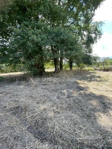 Terrain constructible de 1 695 m² libre de constructeur — Sud-Est de Ploërmel