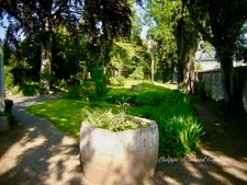 Maison de caractère à vendre à Fontenay-le-Comte (85) – 186 m², jardin, garage 4 voitures