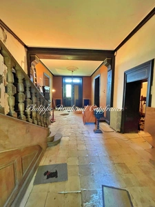 Château du XVIIᵉ siècle à vendre, 17 pièces, FOUSSAIS PAYRE (85)