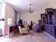 Château du XVIIᵉ siècle à vendre, 17 pièces, FOUSSAIS PAYRE (85)