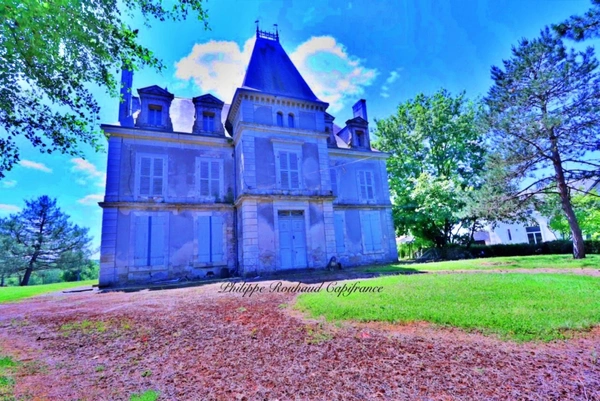 Château du XVIIᵉ siècle à vendre, 17 pièces, FOUSSAIS PAYRE (85)