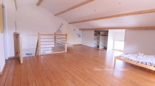 Maison à vendre 13 pièces SAINT HILAIRE DES LOGES (85)
