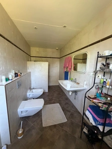 Propriete à vendre 6 pièces PUYMAURIN (31)