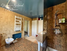 PROPRIETE à vendre 7 pièces CHATEAUVIEUX (05)