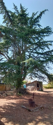 Maison de 116m2 et combles de 79m2