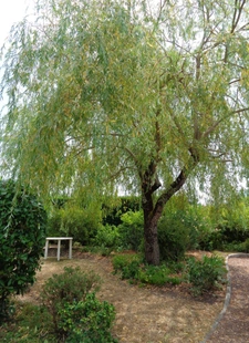 Maison à vendre 8 pièces  (33)