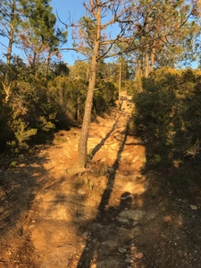 Terrain à vendre de 37 235,00 m² BORMES LES MIMOSAS (83)