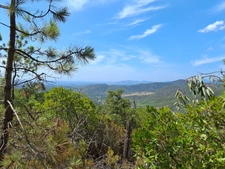 Terrain à vendre de 37 235,00 m² BORMES LES MIMOSAS (83)
