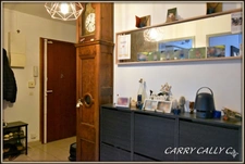 Appartement à vendre 3 chambres et balcon à SAINT MAURICE DE BEYNOST (01)
