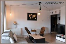 Appartement à vendre 3 chambres et balcon à SAINT MAURICE DE BEYNOST (01)