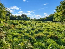 Terrain de 4 600 m² – La Feuillée, au cœur des Monts d’Arrée