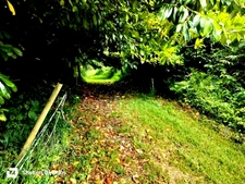  Maison entièrement rénovée | + de 3 hectares | 4 dépendances | Au cœur des Monts d'Arrée