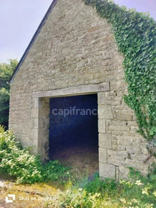  PROPRIÉTÉ DE CARACTÈRE À BERRIEN - Hangar - 6 Hectares 