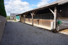 Domaine de Charme du 15ème sur 3,5 Hectare - Équestre & Projets (29 - Finistère)