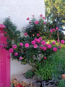 Maison à vendre 6 pièces  (39)