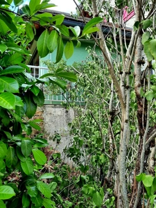 Maison à vendre 6 pièces  (39)