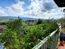 Maison à vendre 6 pièces  (39)