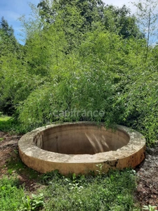 Former diamond factory: an unusual property with exceptional potential!