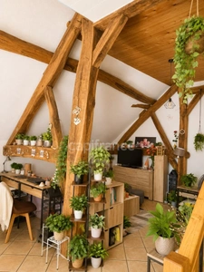 Investissement Locatif de Caractère Jura