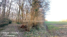 Terrain à vendre de 3640 m² SYLVAINS LES MOULINS (27)