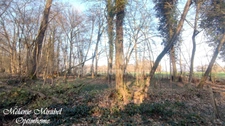 Terrain à vendre de 3640 m² SYLVAINS LES MOULINS (27)