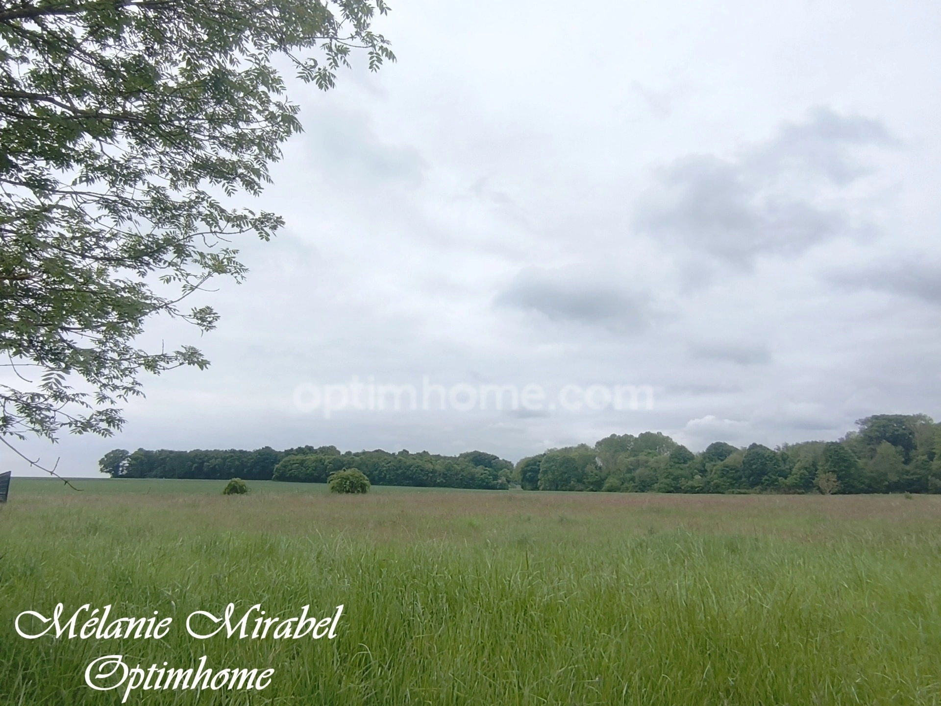 Terrain à vendre de 5 519,00 m² COURDEMANCHE (27) · 185 000 €