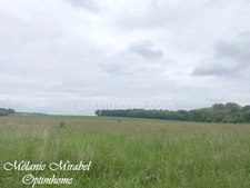 Terrain à vendre de 5 519,00 m² COURDEMANCHE (27)