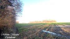 Terrain à vendre de 3640 m² SYLVAINS LES MOULINS (27)