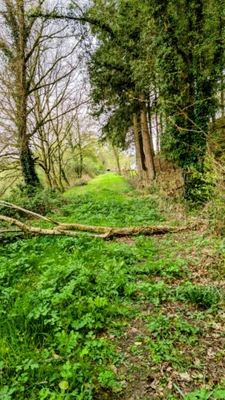 Évasion au cœur de la nature – Propriété de caractère sur trois niveaux avec ascenseur