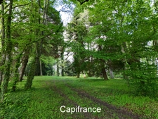 Dpt Isère (38), à vendre EYZIN PINET propriete P15 de 600 m² - Terrain de 1,20 Ha 