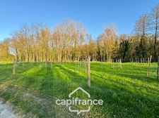 Maison à vendre 5 pièces  (38)