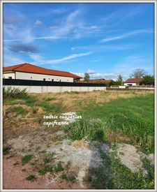 Terrain constructible LEZOUX (63)