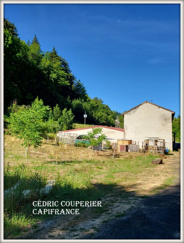 Maison à vendre 13 pièces LA MONNERIE LE MONTEL (63)