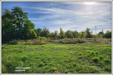 Terrain à vendre a CUSSET (03)