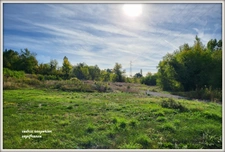 Terrain à vendre a CUSSET (03)