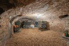 House for sale 10 rooms GEX (01)