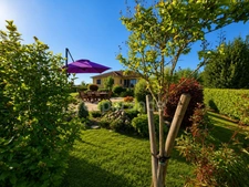 Maison à vendre 4 pièces DOMPIERRE SUR VEYLE (01)