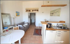 Appartement à vendre 1 pièces LA FLOTTE (17)