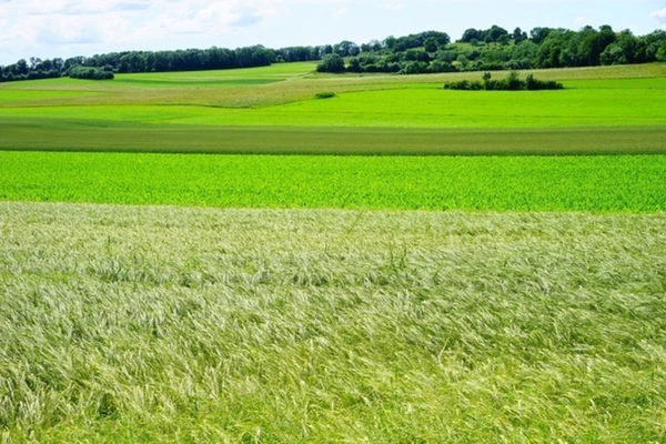 Terrain à vendre à ACHERES (78)