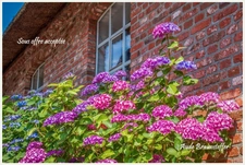 Dpt 95, à vendre maison P6 de 122,2 m² sur terrain de 845,00 m² 