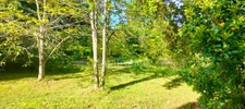Maison de campagne à vendre 6 pièces  (20) 2700m2 de terrain piscinable