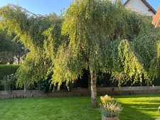 Maison à vendre 5 pièces – 105 m² – Jardin 900 m² – Mouen (14 790)