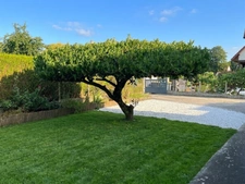 Maison à vendre 5 pièces – 105 m² – Jardin 900 m² – Mouen (14 790)