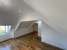 Renovated Character Home with Second Stone House & Exceptional Potential – Plussulien, Brittany