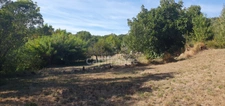 House for sale, 8 rooms, LE BOSC (34)